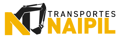 transportesnaipil.cl